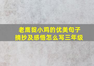 老鹰捉小鸡的优美句子摘抄及感悟怎么写三年级