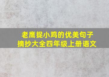 老鹰捉小鸡的优美句子摘抄大全四年级上册语文