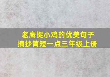 老鹰捉小鸡的优美句子摘抄简短一点三年级上册