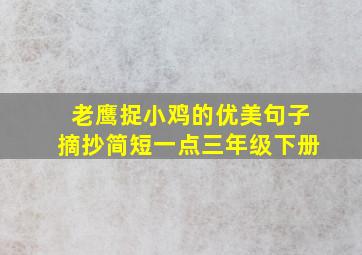 老鹰捉小鸡的优美句子摘抄简短一点三年级下册