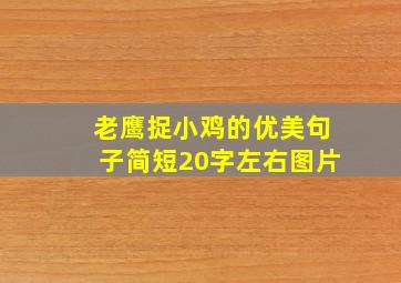 老鹰捉小鸡的优美句子简短20字左右图片