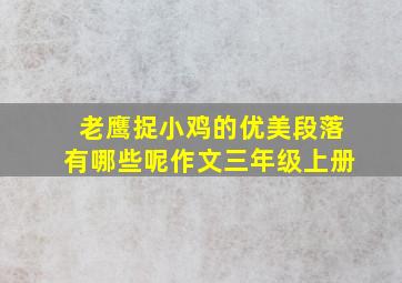 老鹰捉小鸡的优美段落有哪些呢作文三年级上册