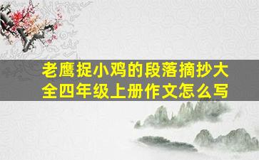 老鹰捉小鸡的段落摘抄大全四年级上册作文怎么写