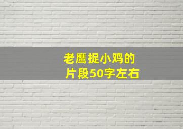 老鹰捉小鸡的片段50字左右