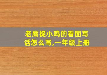 老鹰捉小鸡的看图写话怎么写,一年级上册