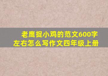 老鹰捉小鸡的范文600字左右怎么写作文四年级上册