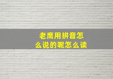 老鹰用拼音怎么说的呢怎么读