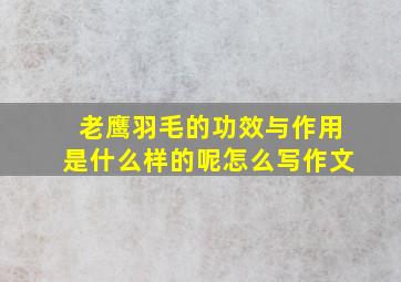 老鹰羽毛的功效与作用是什么样的呢怎么写作文