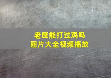 老鹰能打过鸡吗图片大全视频播放