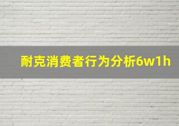 耐克消费者行为分析6w1h