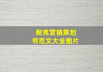 耐克营销策划书范文大全图片