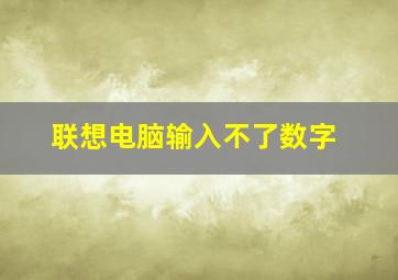 联想电脑输入不了数字