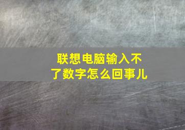 联想电脑输入不了数字怎么回事儿