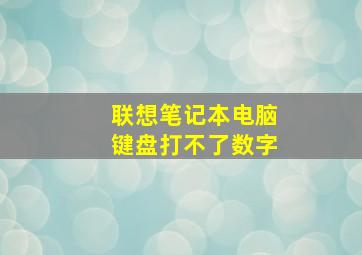 联想笔记本电脑键盘打不了数字