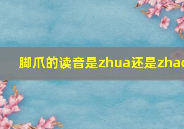 脚爪的读音是zhua还是zhao