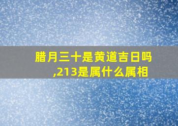 腊月三十是黄道吉日吗,213是属什么属相