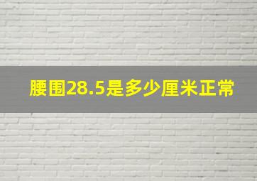 腰围28.5是多少厘米正常