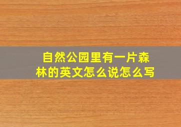 自然公园里有一片森林的英文怎么说怎么写