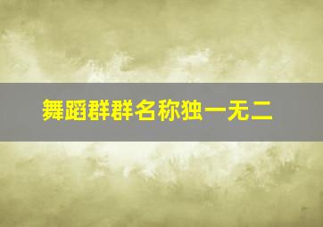 舞蹈群群名称独一无二