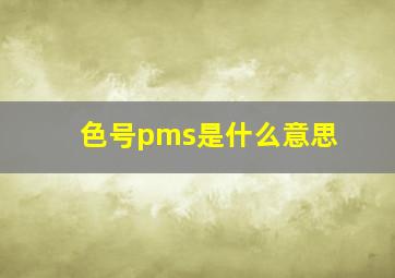 色号pms是什么意思