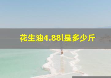 花生油4.88l是多少斤