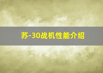 苏-30战机性能介绍