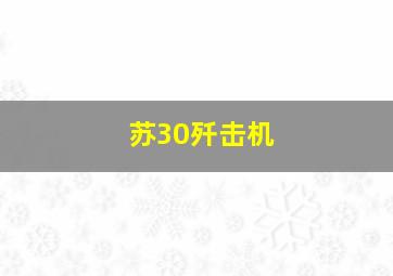 苏30歼击机