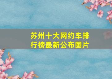 苏州十大网约车排行榜最新公布图片