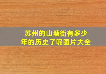 苏州的山塘街有多少年的历史了呢图片大全