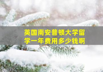 英国南安普顿大学留学一年费用多少钱啊