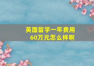 英国留学一年费用60万元怎么样啊