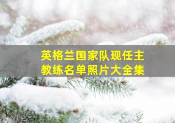 英格兰国家队现任主教练名单照片大全集