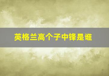 英格兰高个子中锋是谁