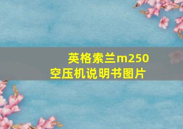 英格索兰m250空压机说明书图片