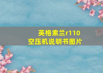 英格索兰r110空压机说明书图片