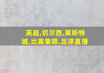 英超,切尔西,莱斯特城,比赛集锦,足球直播