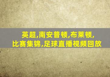 英超,南安普顿,布莱顿,比赛集锦,足球直播视频回放