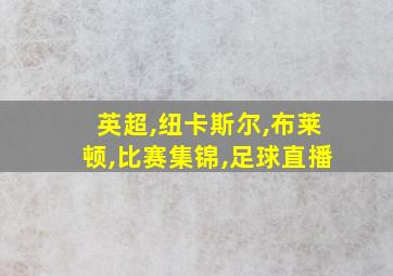 英超,纽卡斯尔,布莱顿,比赛集锦,足球直播