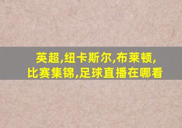 英超,纽卡斯尔,布莱顿,比赛集锦,足球直播在哪看