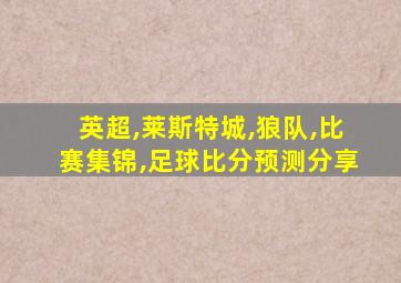 英超,莱斯特城,狼队,比赛集锦,足球比分预测分享