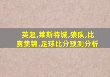 英超,莱斯特城,狼队,比赛集锦,足球比分预测分析