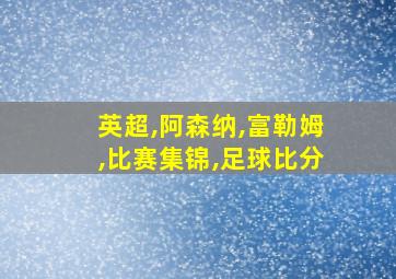 英超,阿森纳,富勒姆,比赛集锦,足球比分