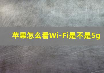 苹果怎么看Wi-Fi是不是5g