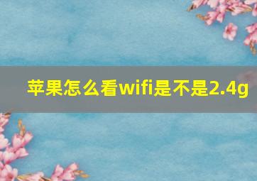 苹果怎么看wifi是不是2.4g