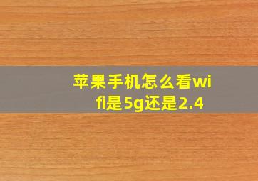 苹果手机怎么看wifi是5g还是2.4