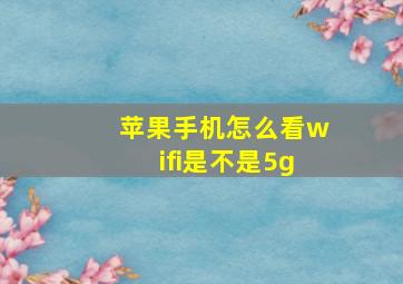 苹果手机怎么看wifi是不是5g