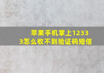 苹果手机掌上12333怎么收不到验证码短信