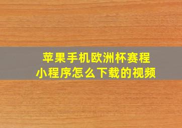 苹果手机欧洲杯赛程小程序怎么下载的视频