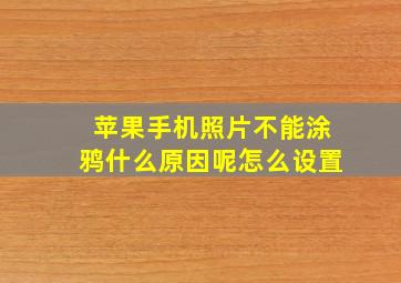 苹果手机照片不能涂鸦什么原因呢怎么设置