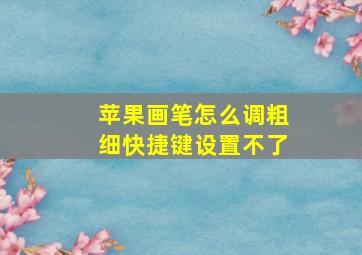 苹果画笔怎么调粗细快捷键设置不了